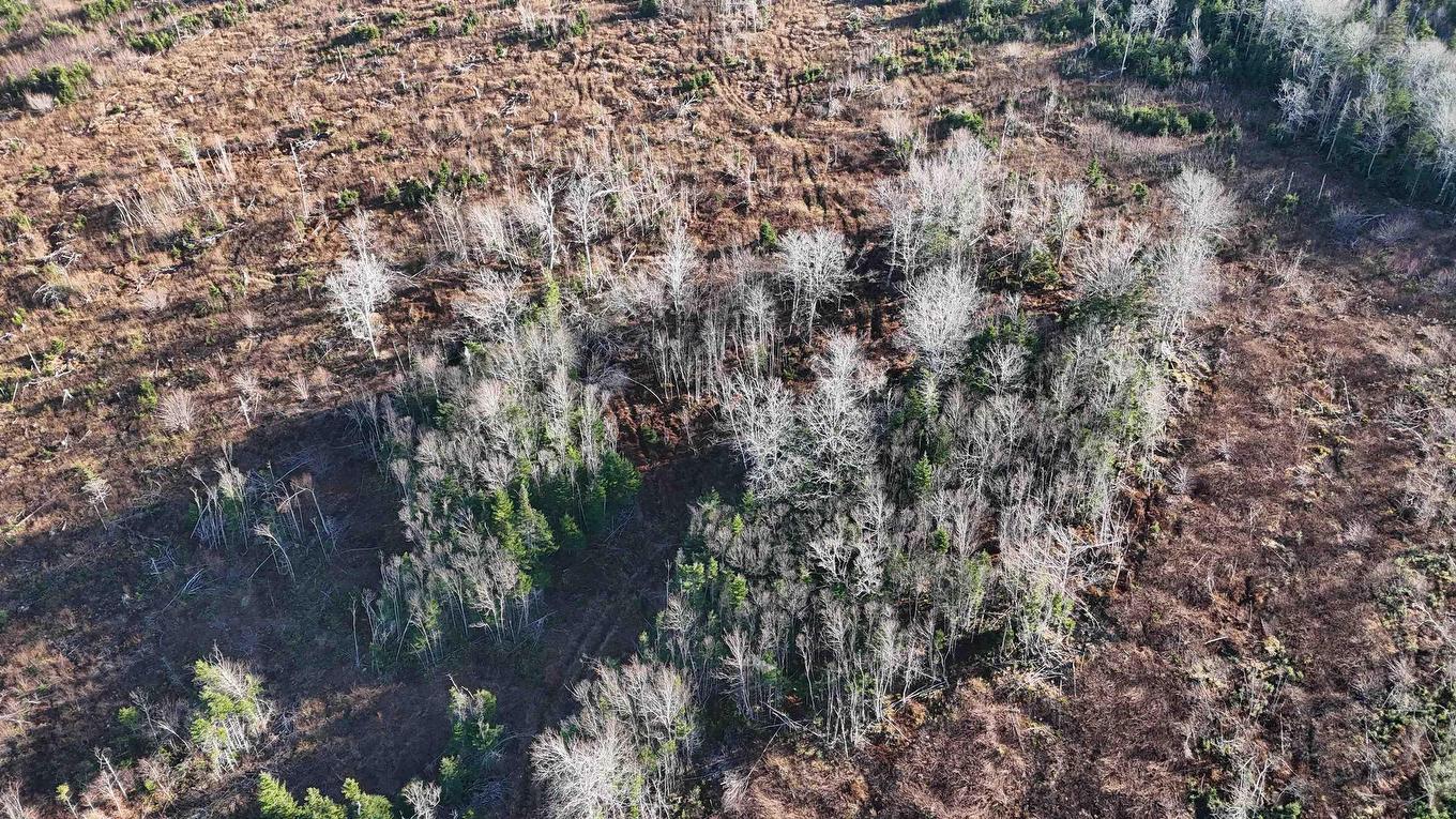Salmon River Road, Enon, NS