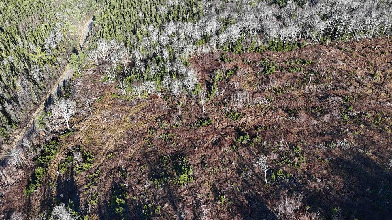 Salmon River Road, Enon, NS