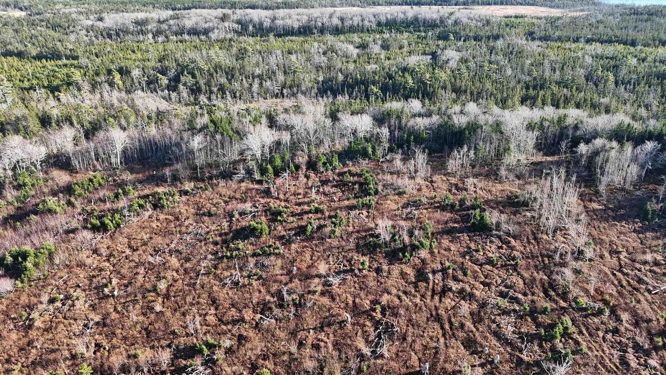 Salmon River Road, Enon, NS