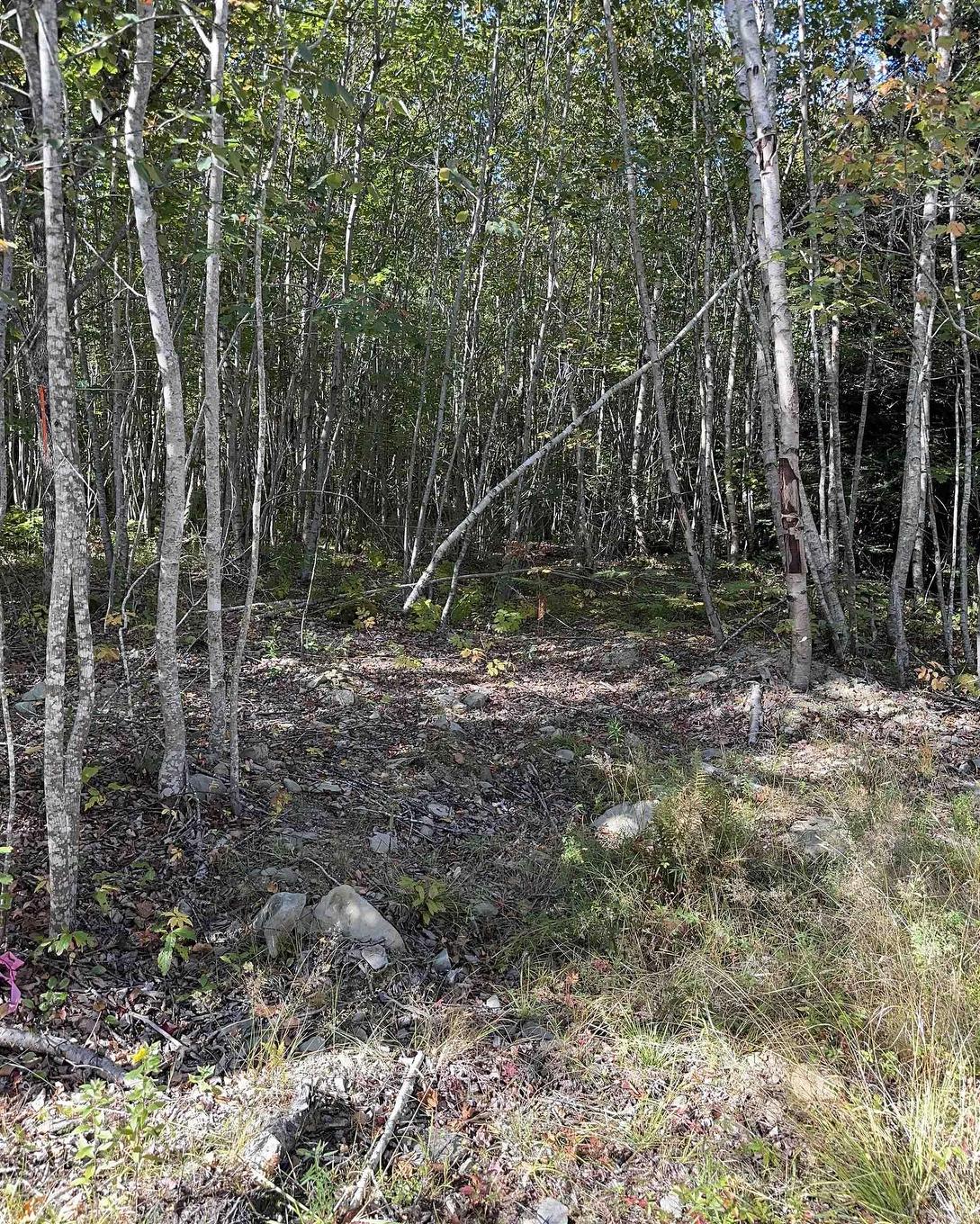 Highway 101, Grosses Coques, NS