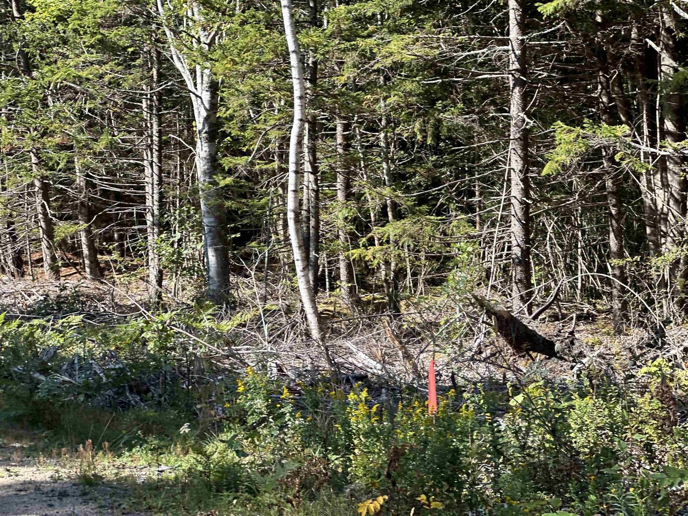 Highway 101, Grosses Coques, NS