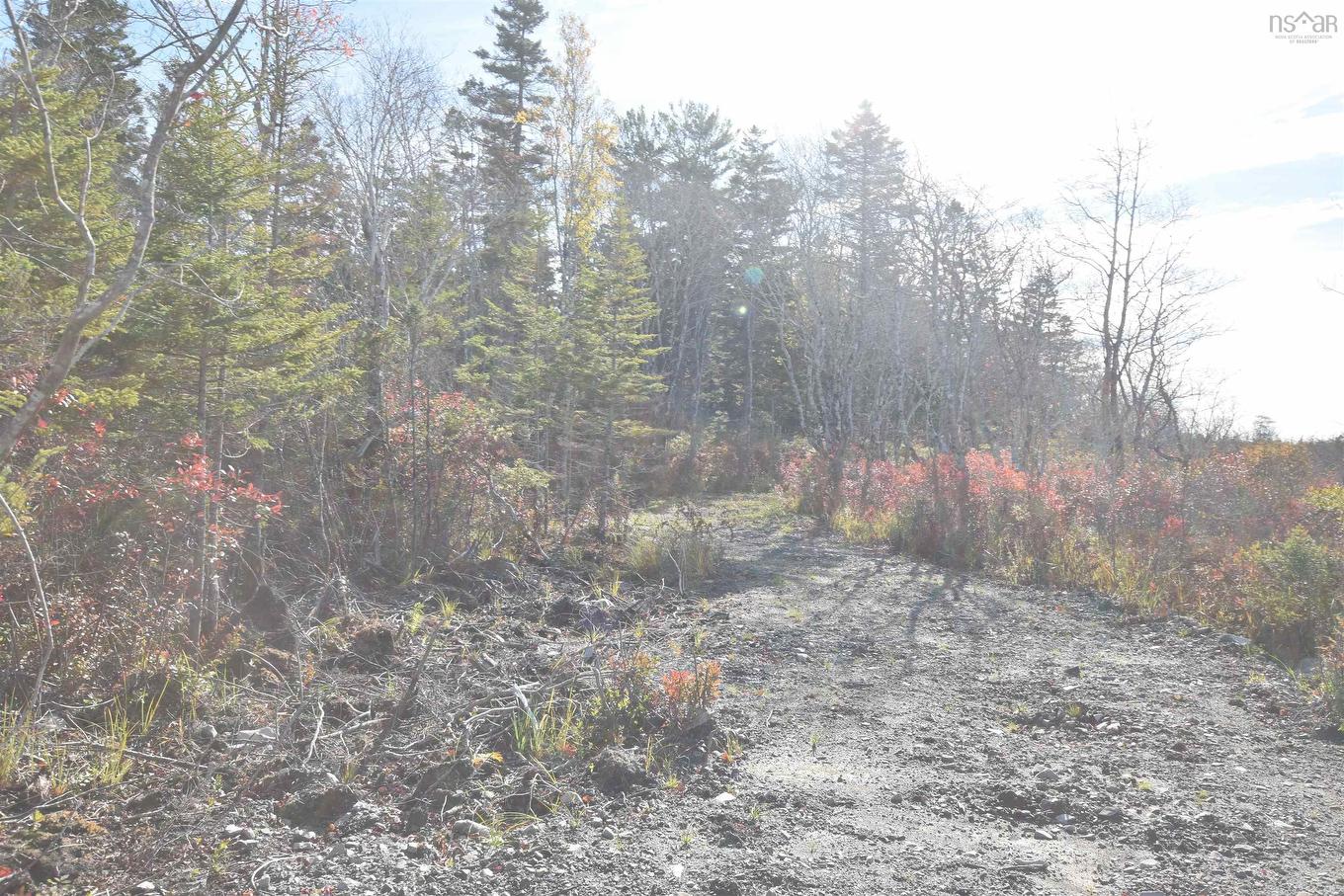 Highway 101, Grosses Coques, NS