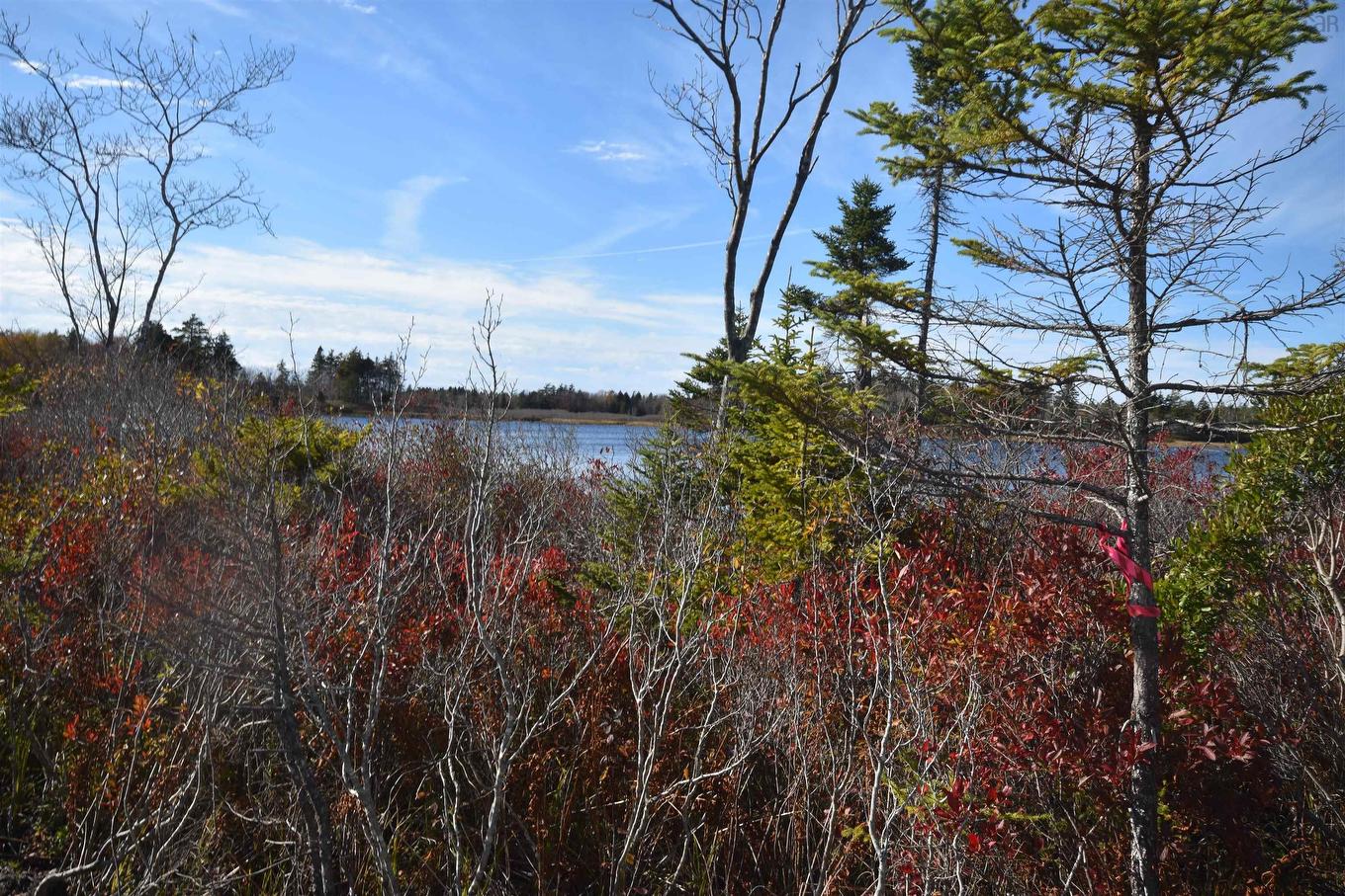 Highway 101, Grosses Coques, NS
