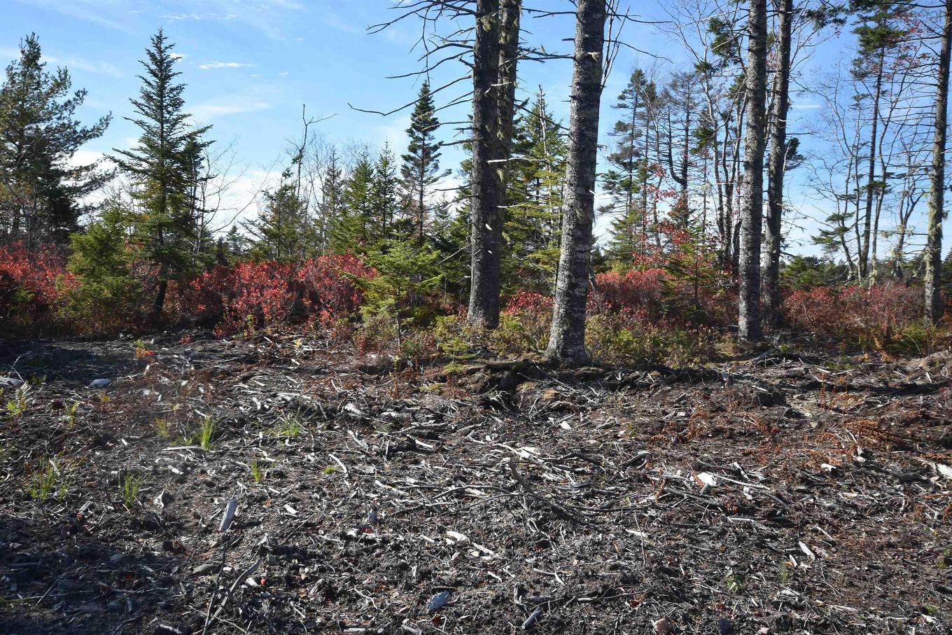 Highway 101, Grosses Coques, NS