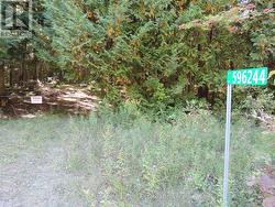 596244 CONCESSION 10 Chatsworth, ON N0H 1R0