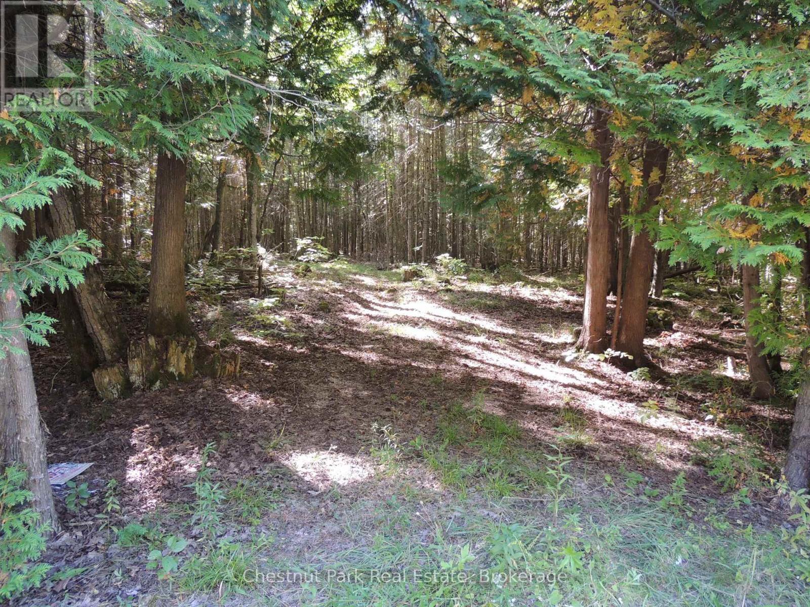 596244 Concession 10, Chatsworth, ON