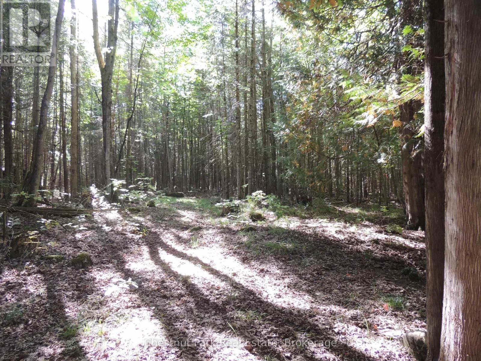 596244 Concession 10, Chatsworth, ON