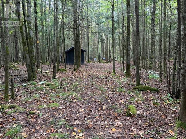 596244 Concession 10, Chatsworth, ON