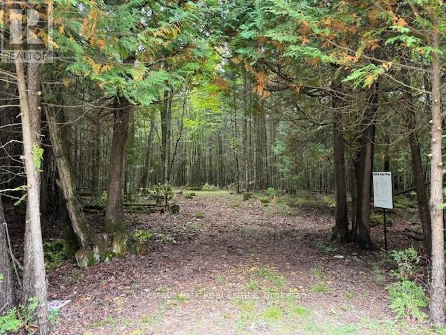 596244 Concession 10, Chatsworth, ON