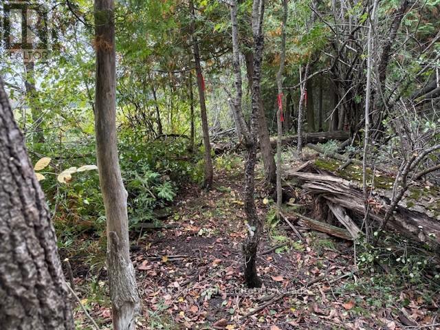 596244 Concession 10, Chatsworth, ON