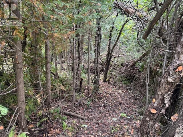 596244 Concession 10, Chatsworth, ON