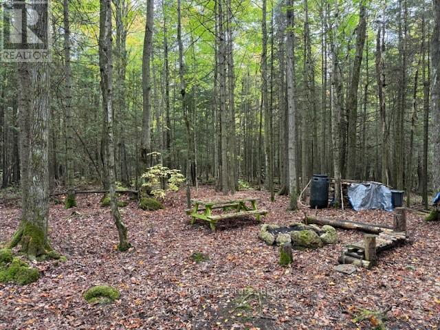 596244 Concession 10, Chatsworth, ON