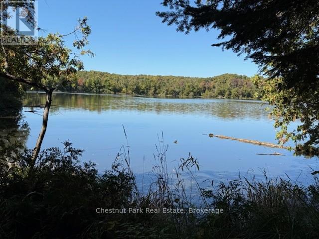 596244 Concession 10, Chatsworth, ON