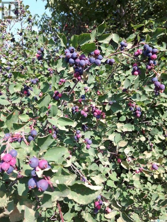 Dubuc 100 Acres Farm, Grayson Rm No. 184, SK
