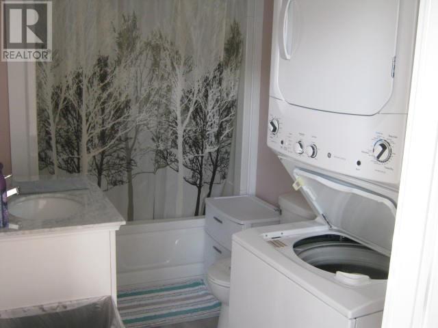 149 Georgetown Road, Corner Brook, NL - Indoor Photo Showing Laundry Room