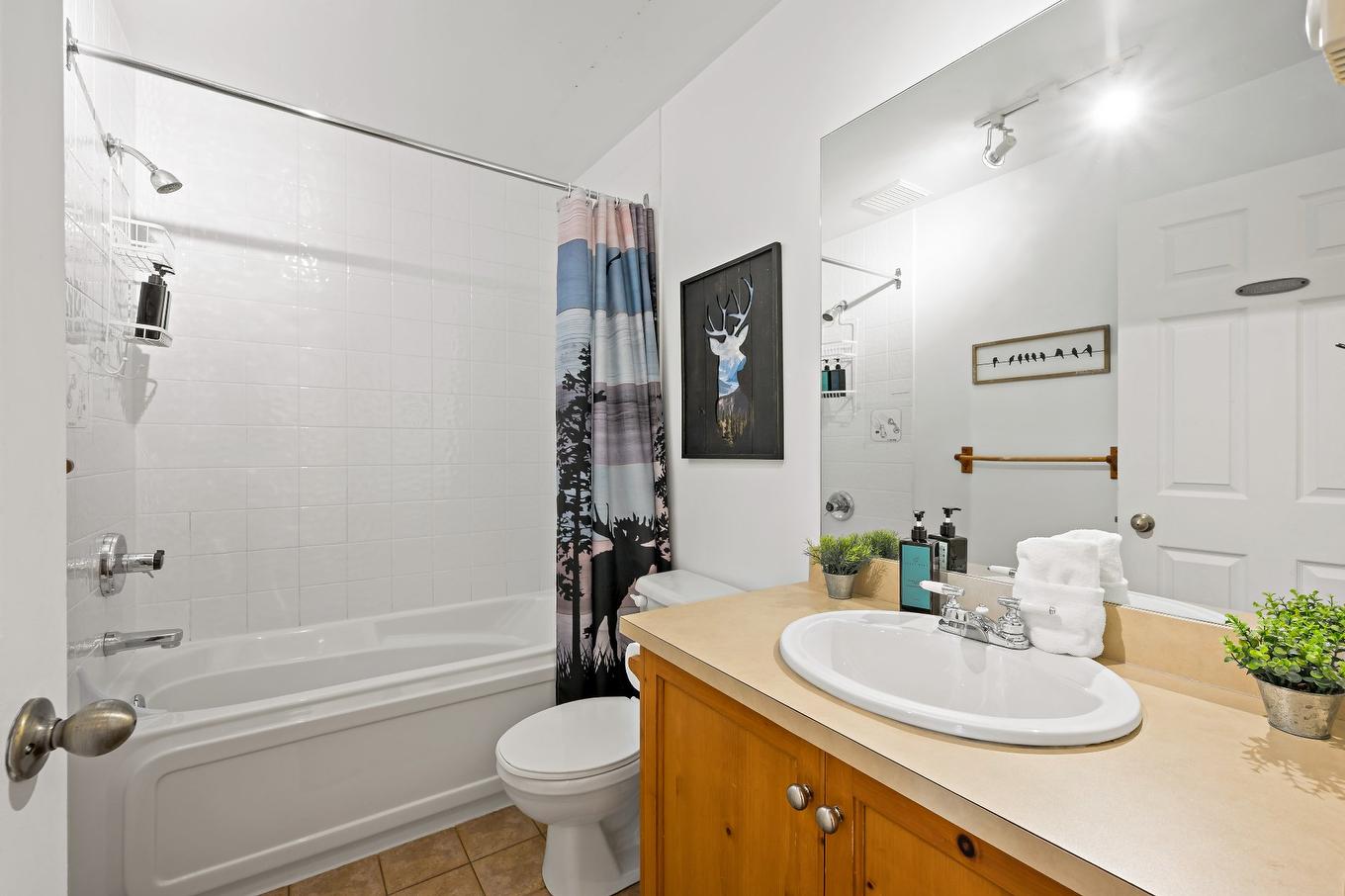 Bathroom - 9-197 Ch. De La Forêt, Mont-Tremblant, QC - Indoor Photo Showing Bathroom