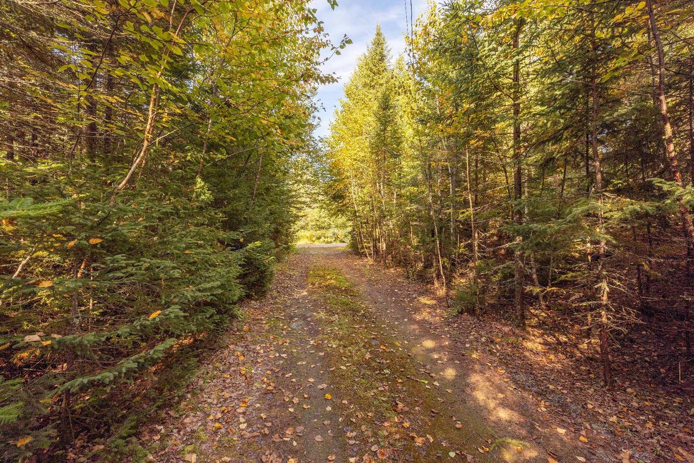 Autre - 1351 Ch. Kataway, Saint-Michel-Des-Saints, QC - Outdoor With View