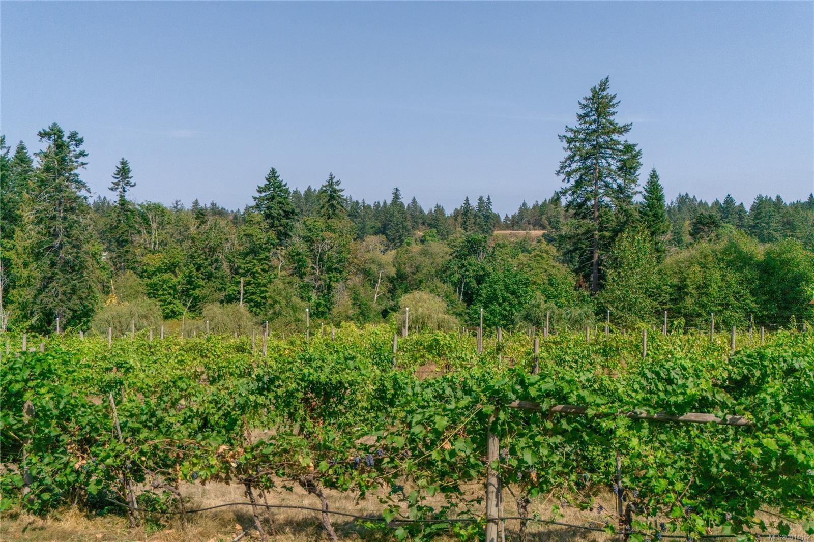 2300 East Wellington Rd, Nanaimo, BC