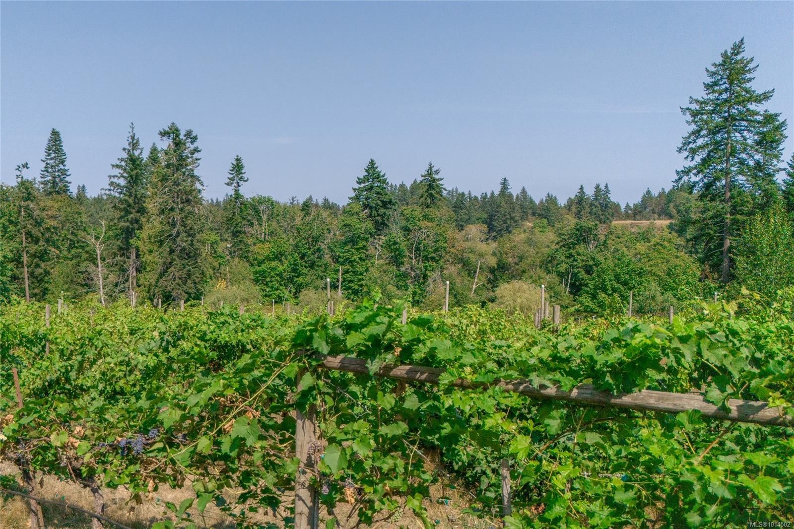 2300 East Wellington Rd, Nanaimo, BC