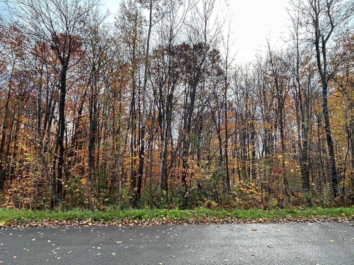 Façade - Rue Pascal, Sainte-Sophie, QC
