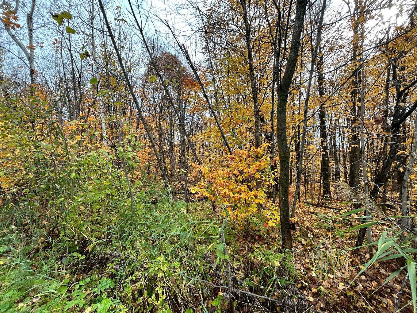 Terre/Terrain - Rue Pascal, Sainte-Sophie, QC