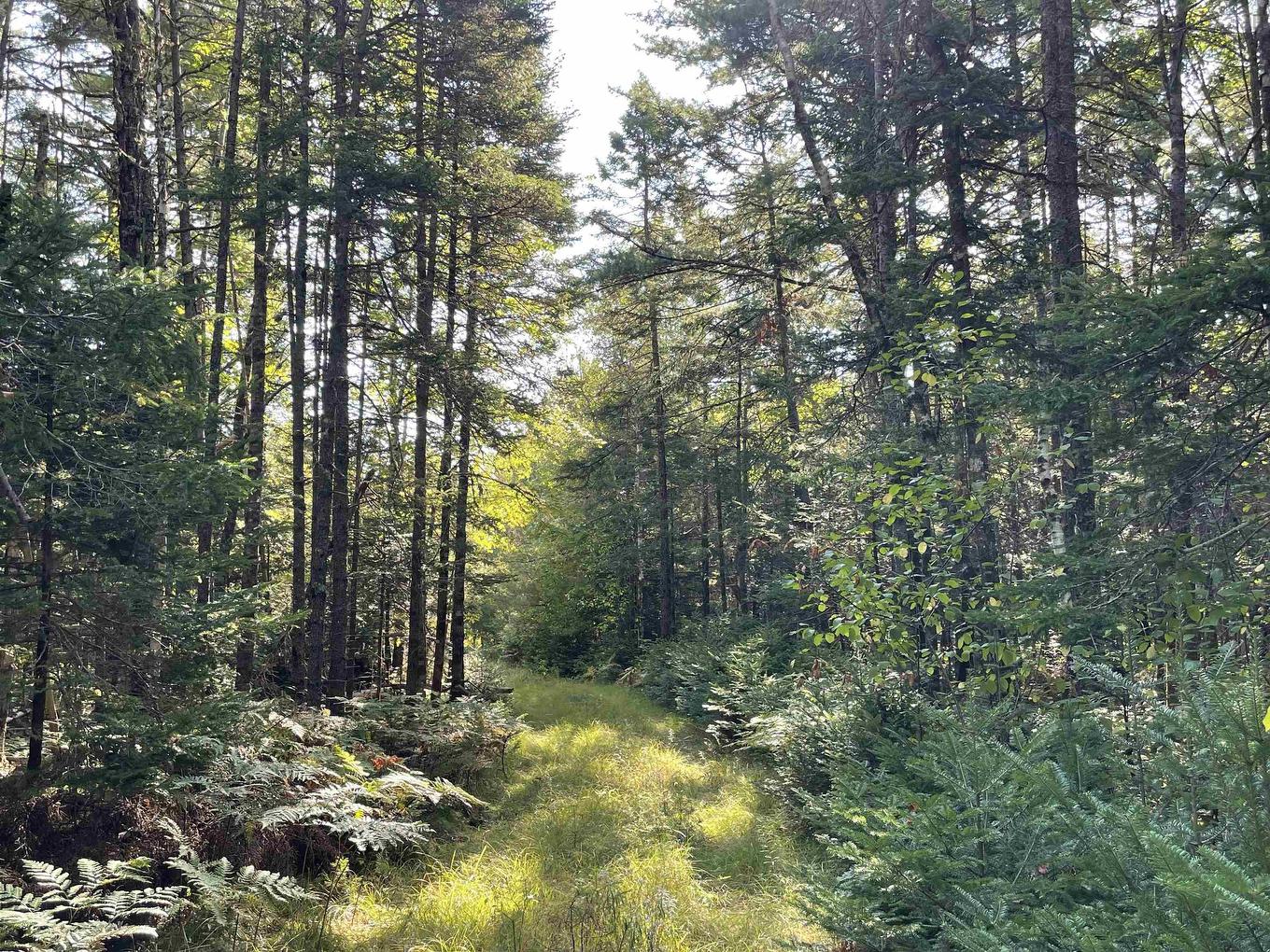 69 Mackay Road, Union Square, NS