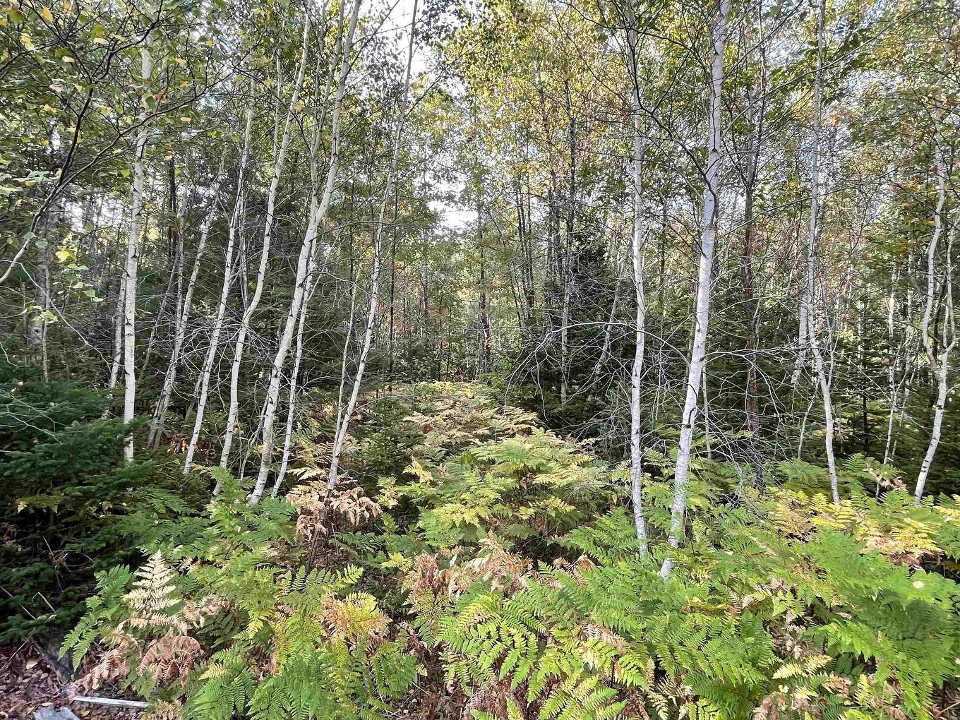 69 Mackay Road, Union Square, NS