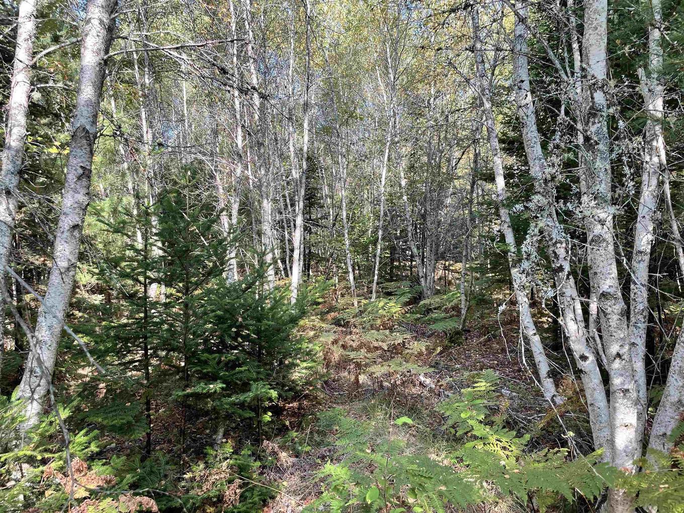 69 Mackay Road, Union Square, NS