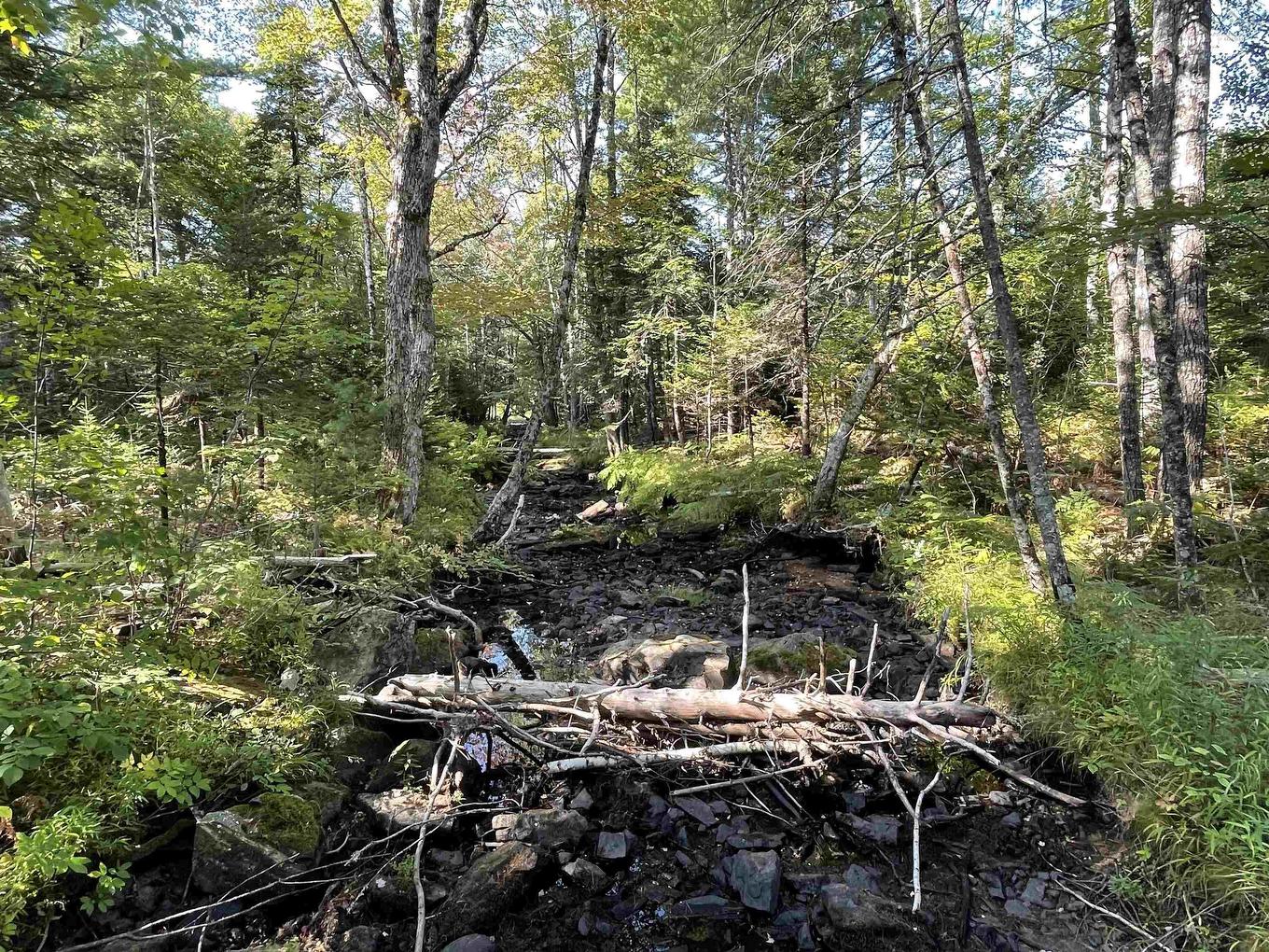 69 Mackay Road, Union Square, NS