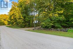 PT PARK LOT 3 NAPOLEON STREET Grey Highlands, ON N0C 1E0