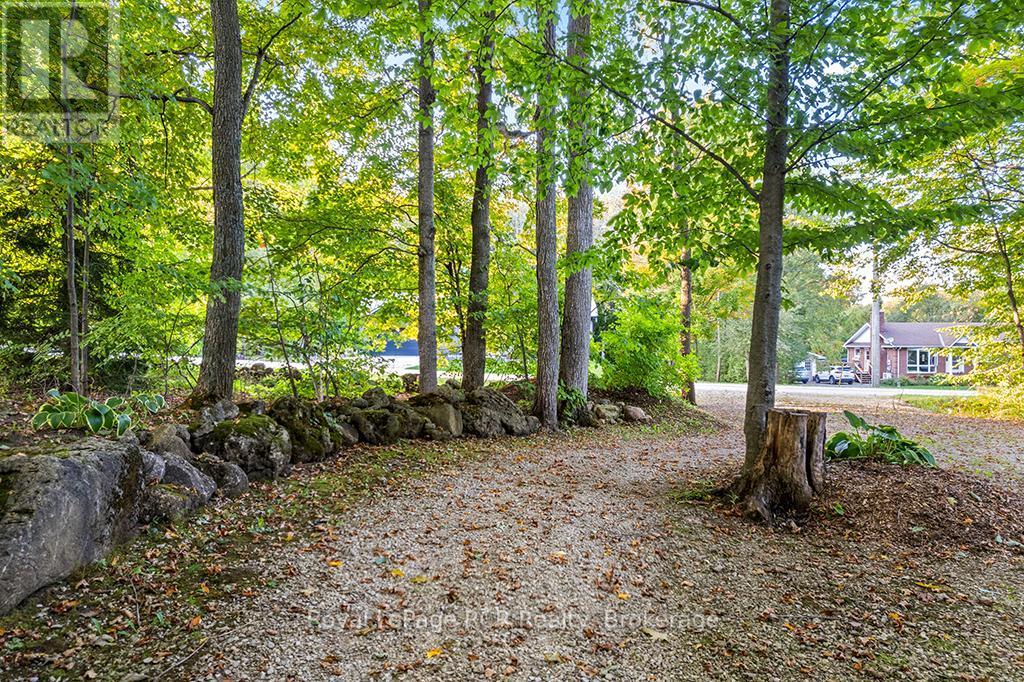 Pt Park Lot 3 Napoleon Street, Grey Highlands, ON