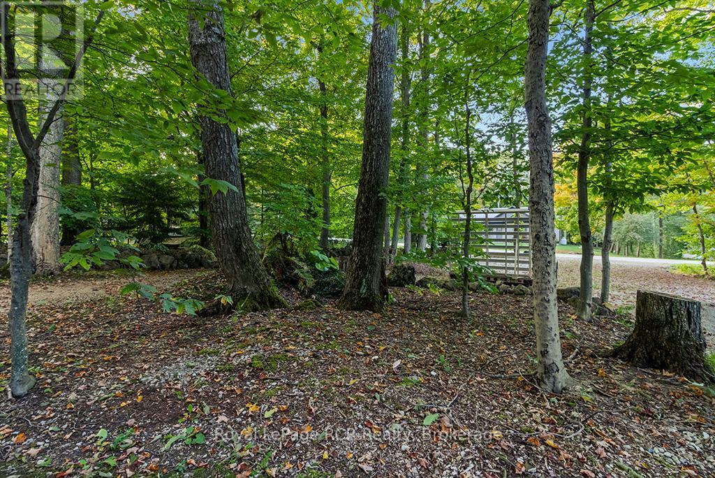 Pt Park Lot 3 Napoleon Street, Grey Highlands, ON