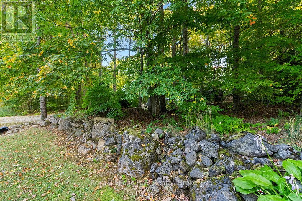 Pt Park Lot 3 Napoleon Street, Grey Highlands, ON