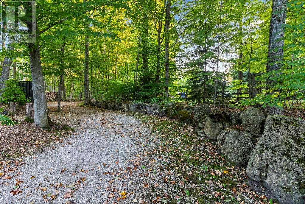 Pt Park Lot 3 Napoleon Street, Grey Highlands, ON