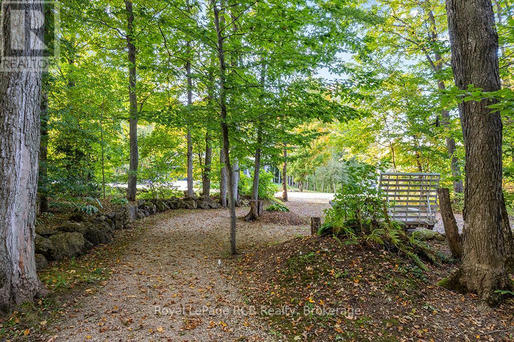 Pt Park Lot 3 Napoleon Street, Grey Highlands, ON