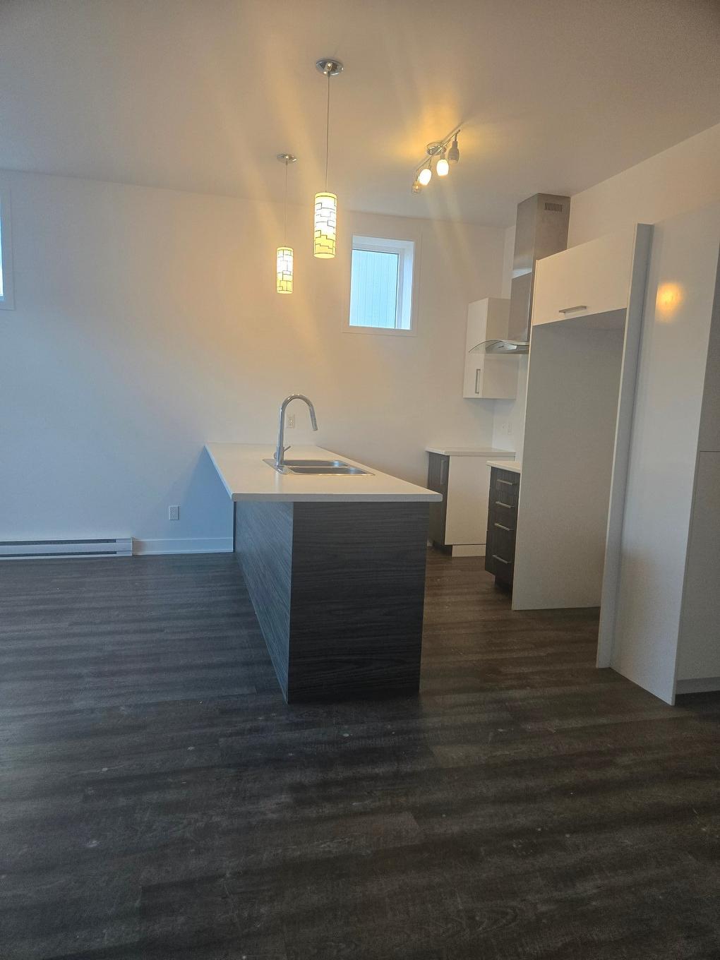 Kitchen - 1056 Rue St-Viateur, Joliette, QC - Indoor Photo Showing Kitchen