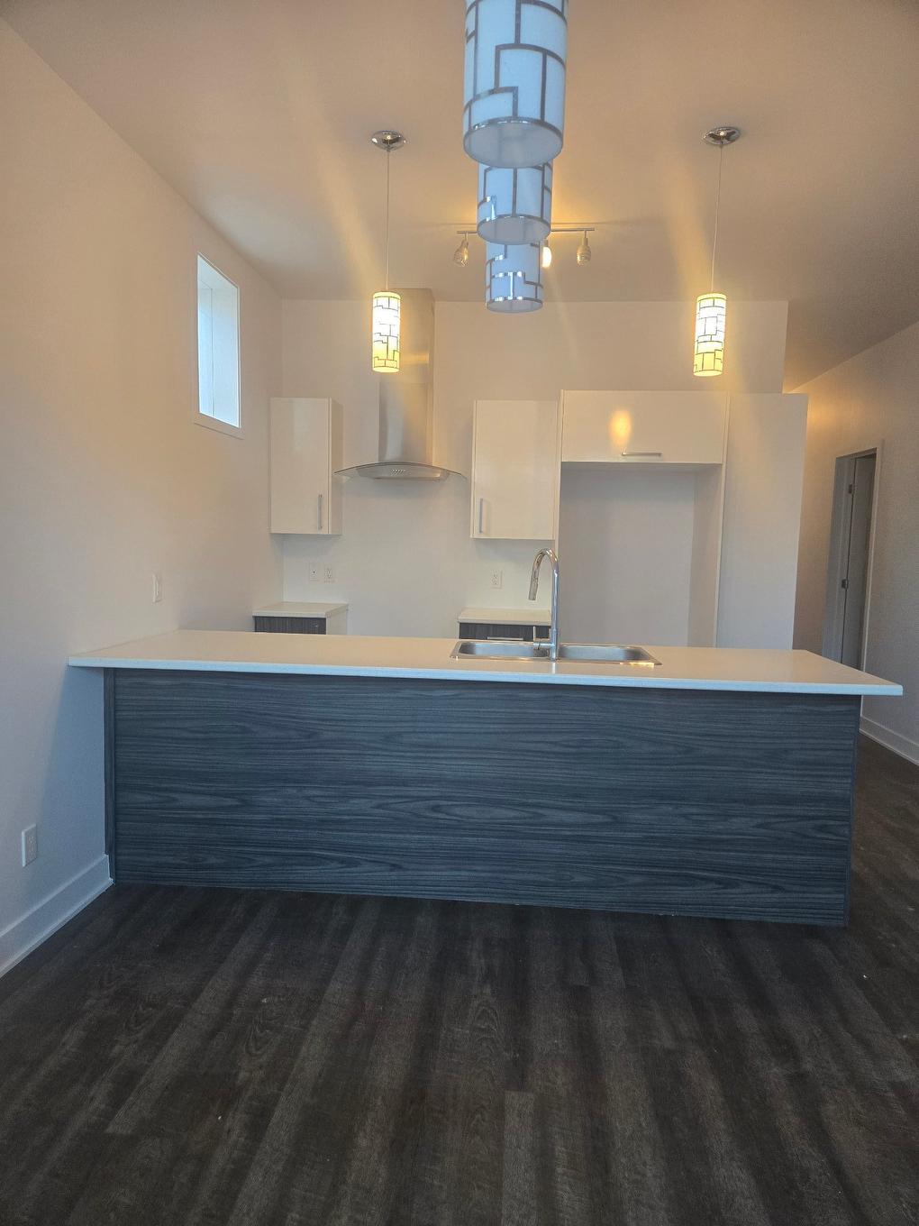 Kitchen - 1056 Rue St-Viateur, Joliette, QC - Indoor Photo Showing Kitchen