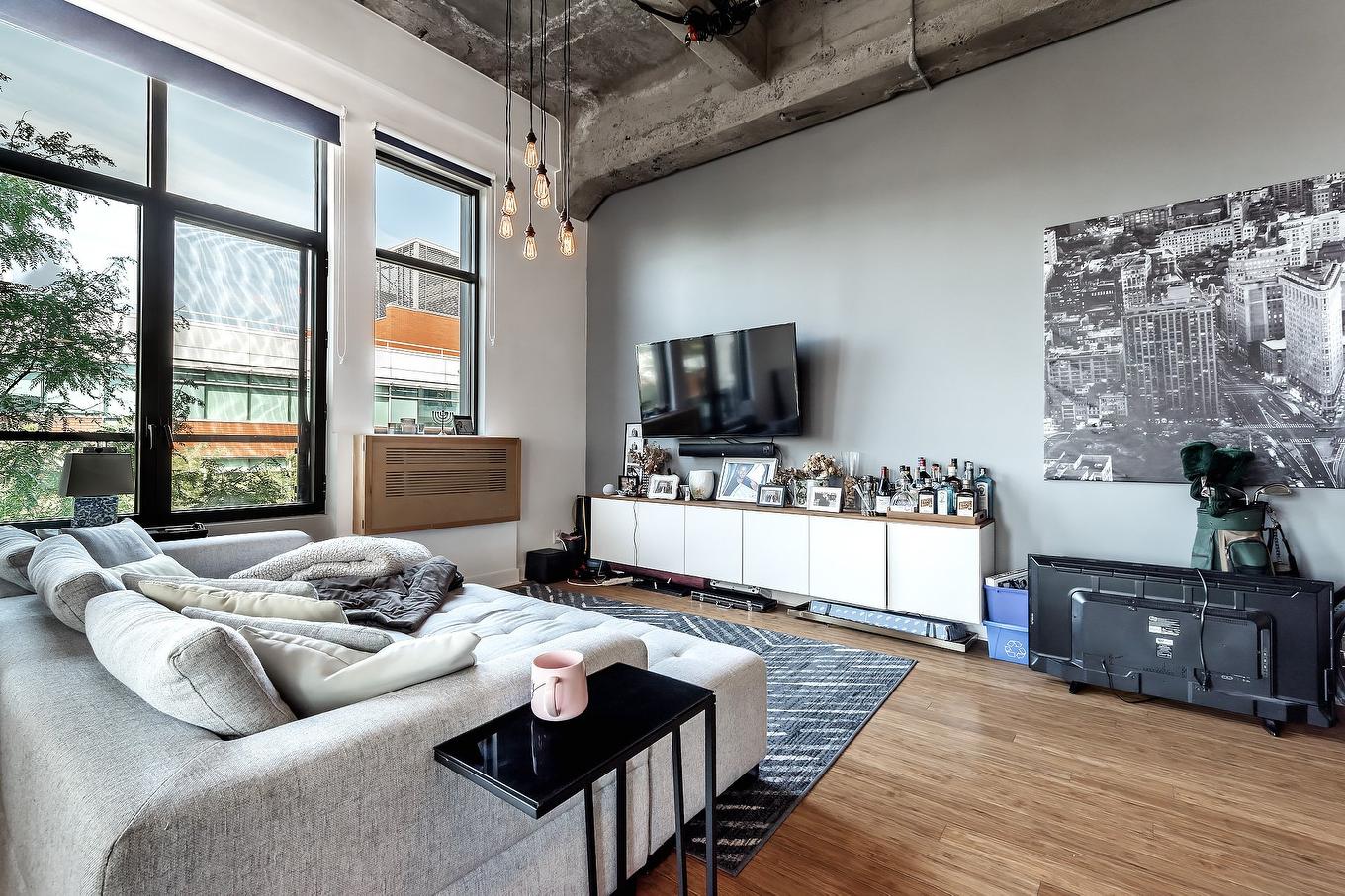 Salon - 349-3700 Rue St-Antoine O., Montréal (Le Sud-Ouest), QC - Indoor Photo Showing Living Room