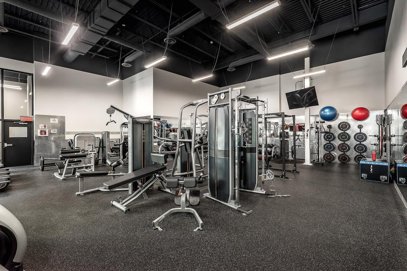 Salle d'exercice - 349-3700 Rue St-Antoine O., Montréal (Le Sud-Ouest), QC - Indoor Photo Showing Gym Room