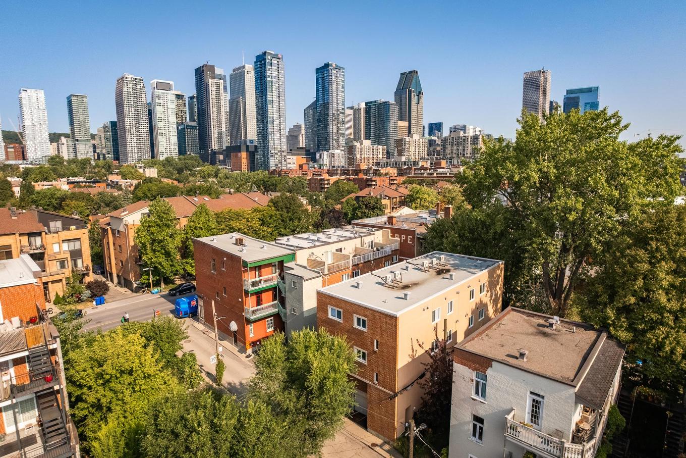 Photo aérienne - 473 Rue Lusignan, Montréal (Le Sud-Ouest), QC - Outdoor