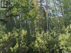 2008 Laronge AVENUE La Ronge, SK S0J 1L0