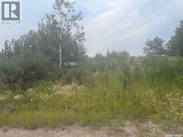 131 Olsen Street, La Ronge, SK