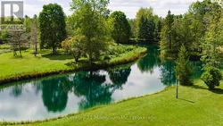 Ohhh the Pond! 18 inch Bass live here! -