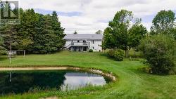 View from the Pond -