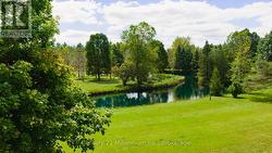 Who wouldn't love this view? -