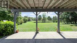 Often the family of Deer come to visit -