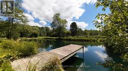 \"Sitting on the Dock of the Bay\" -