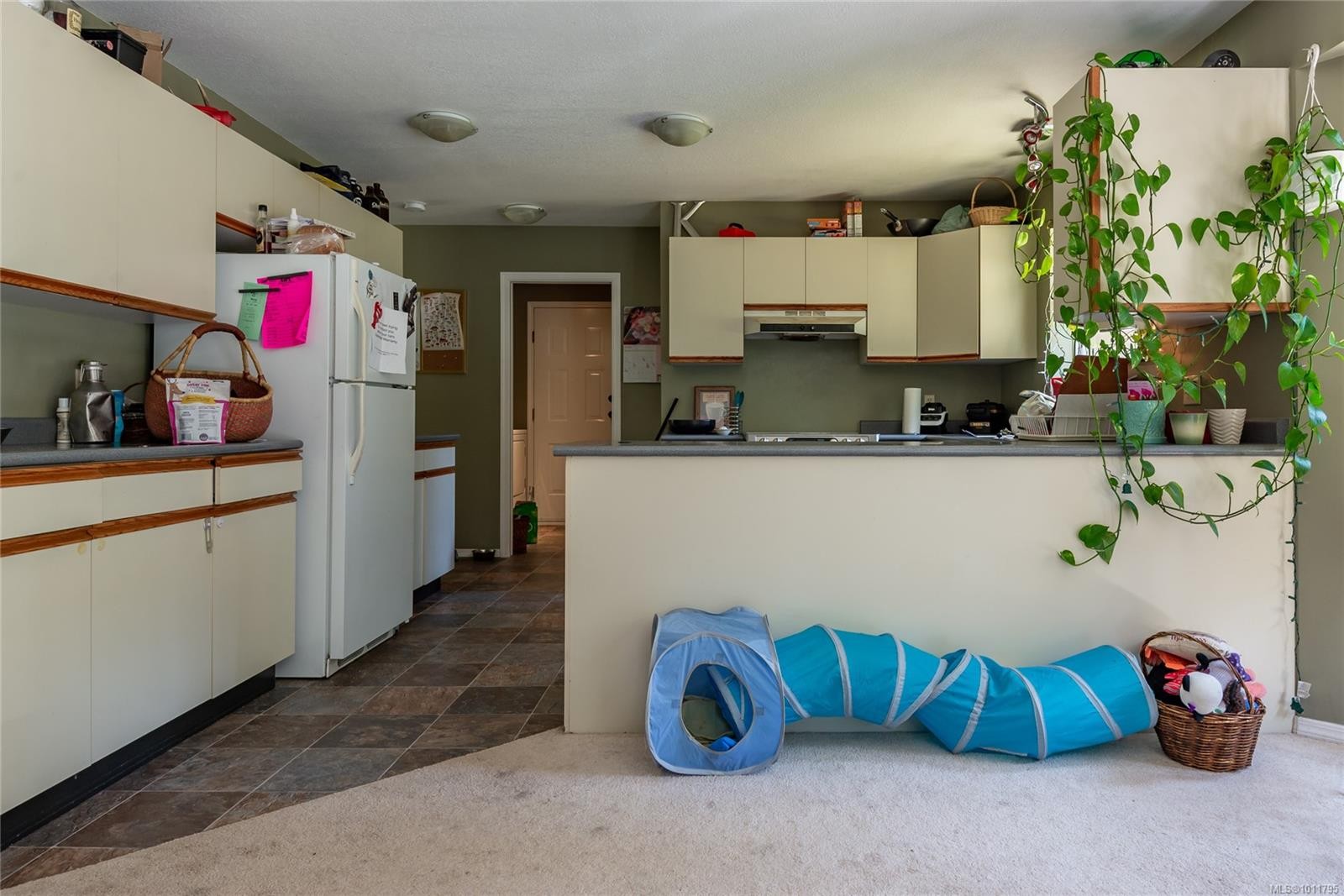 8598 Island Hwy North, Black Creek, BC