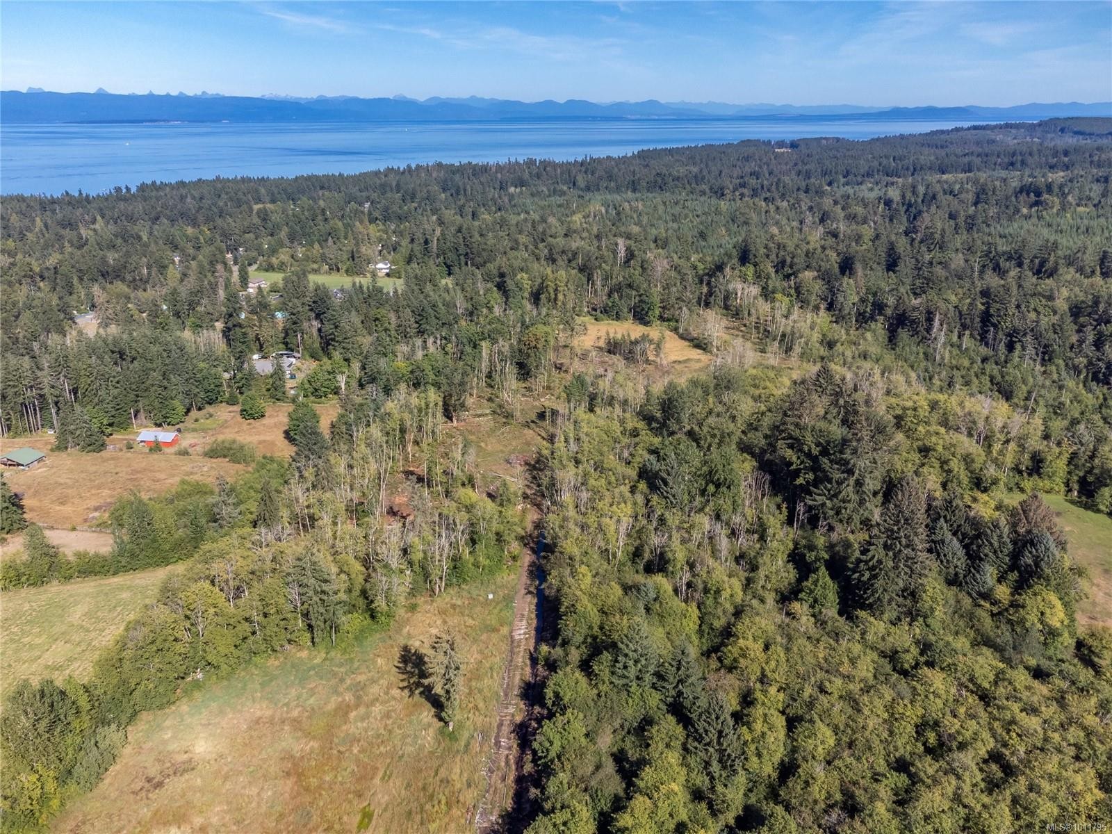 8598 Island Hwy North, Black Creek, BC