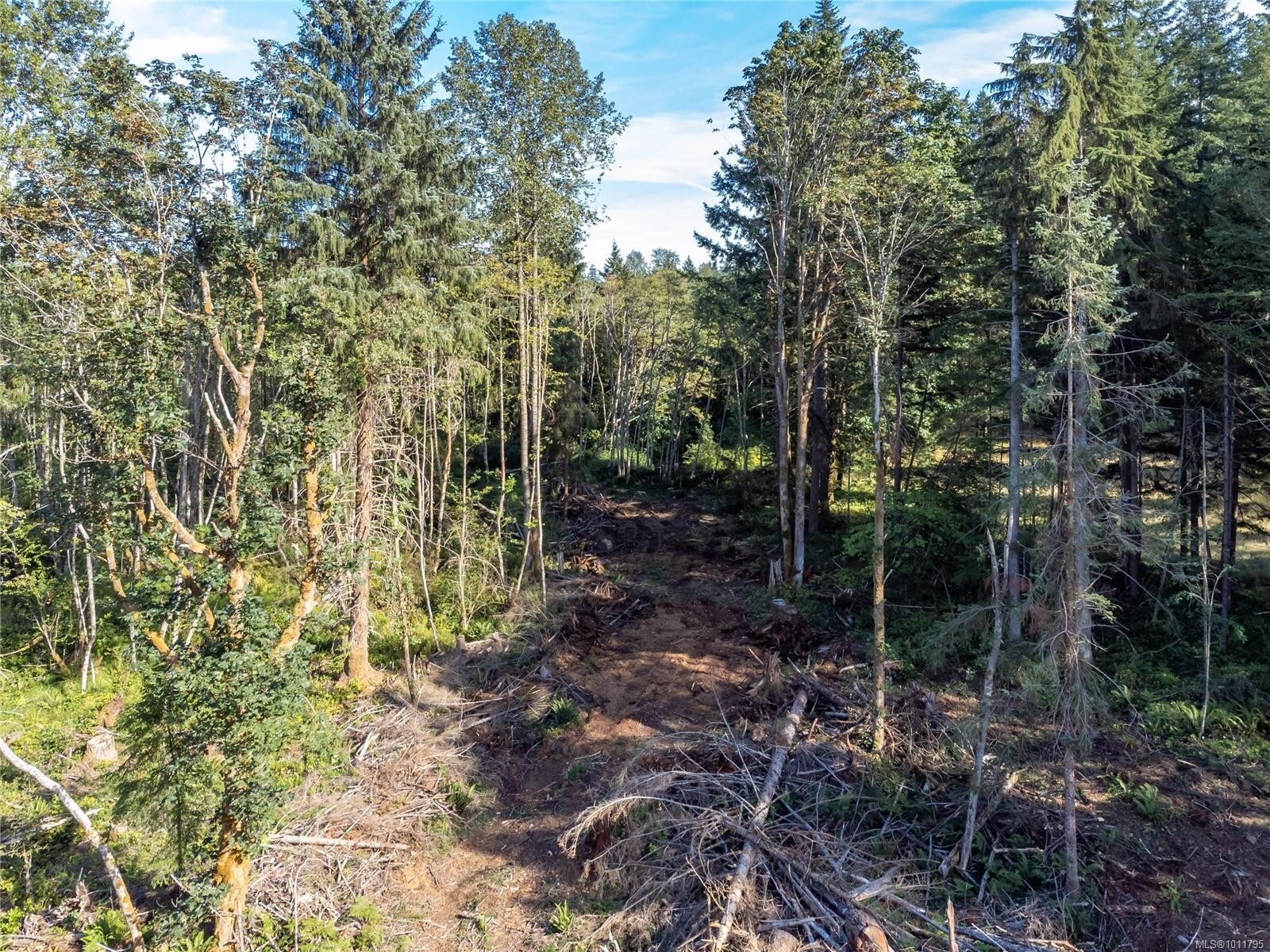 8598 Island Hwy North, Black Creek, BC